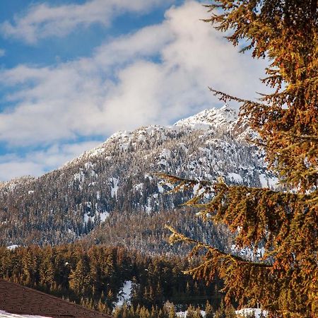 Updated Whistler Creek Studio With Parking Bagian luar foto